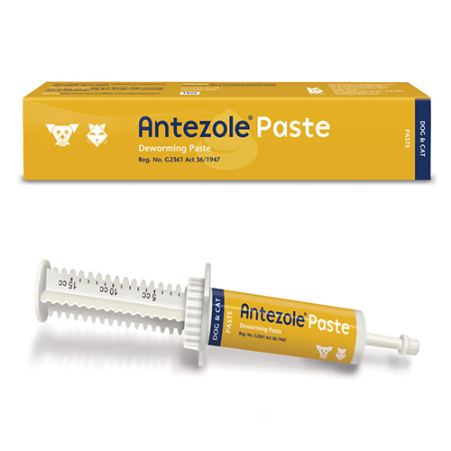 Antezole Paste Paste For Dogs & Cats 15 Ml