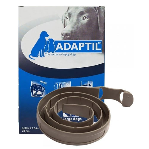 Dap Collar Med/Large Dog 62.5 Cms
