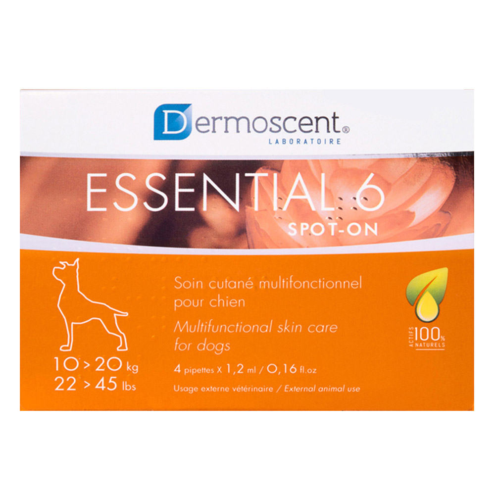 Essential 6 For Medium Dogs 10-20kg 4 Months
