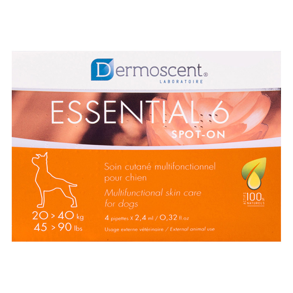 Essential 6 For Large Dogs 20-40kg 4 Months
