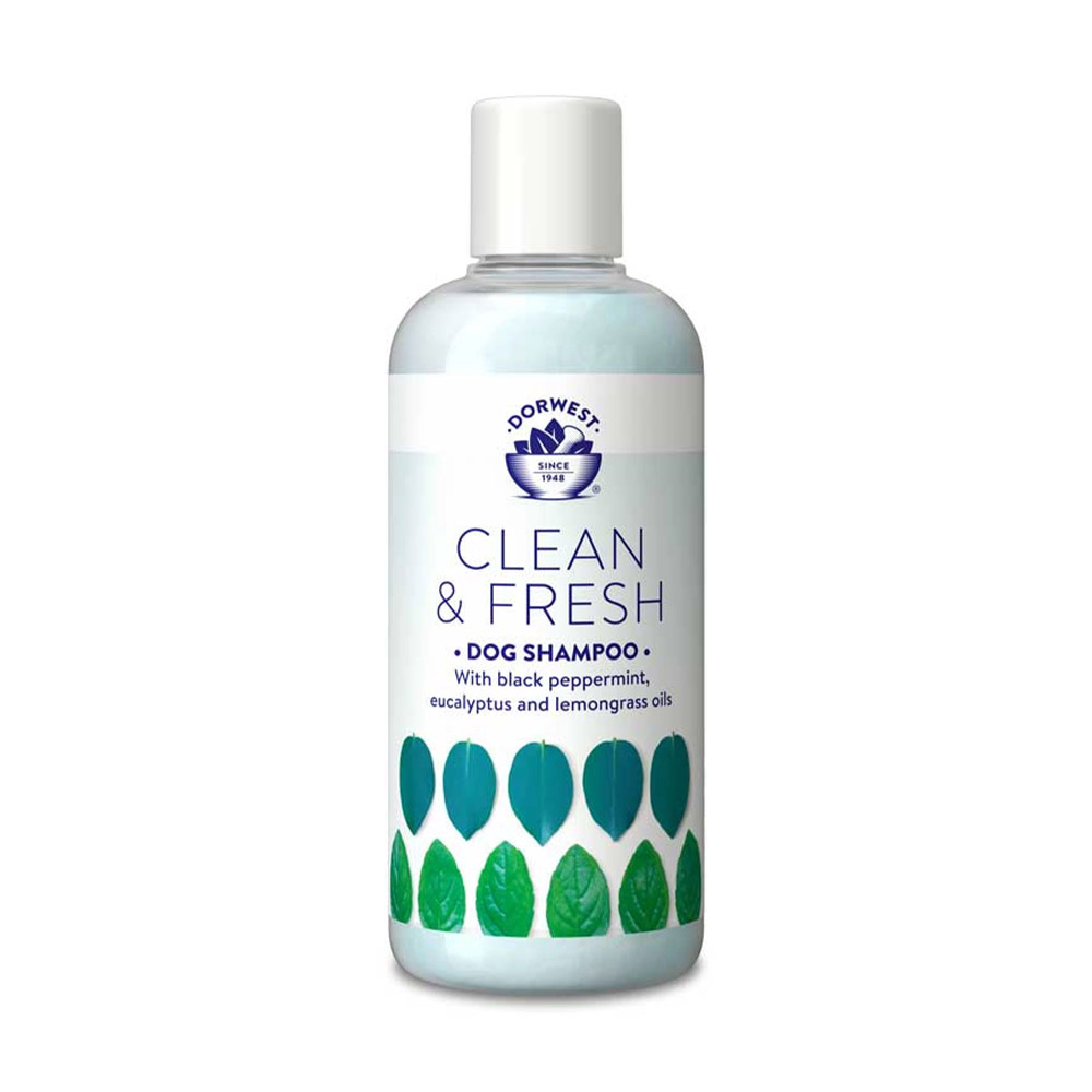 Dorwest Clean & Fresh Shampoo 250 Ml
