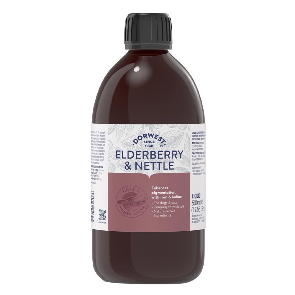 Dorwest Elderberry … - image