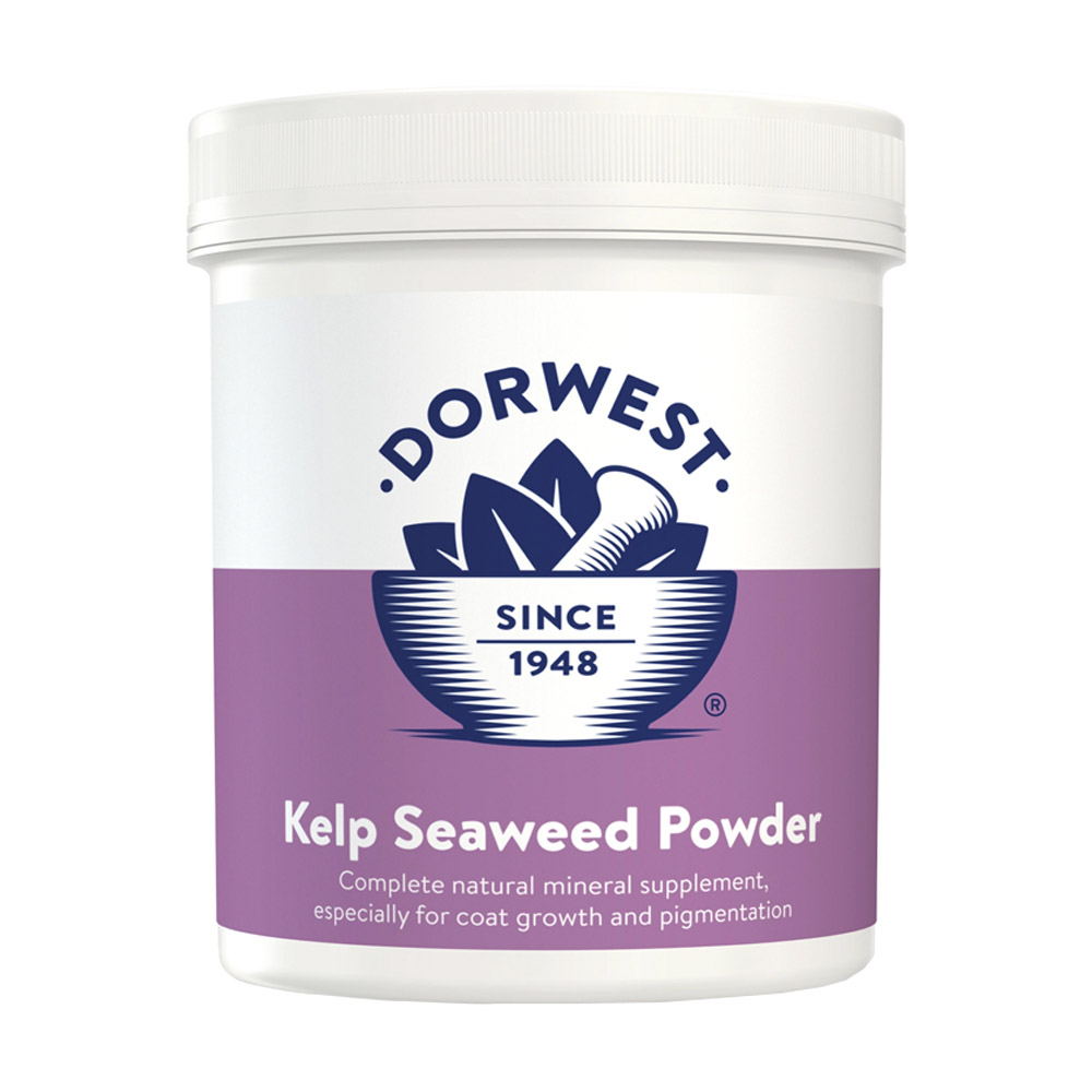 Dorwest Kelp Seaweed Powder For Dogs And Cats 250 Gm
