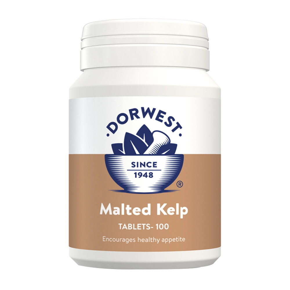 Dorwest Malted Kelp Tablets For Dogs And Cats 100 Tablets
