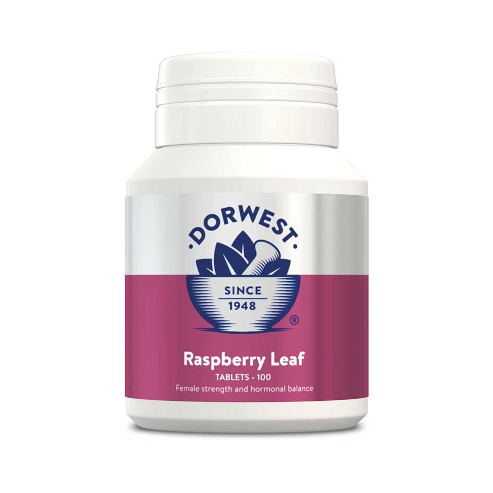 Dorwest Raspberry Leaf Tablets For Dogs And Cats 100 Tablets
