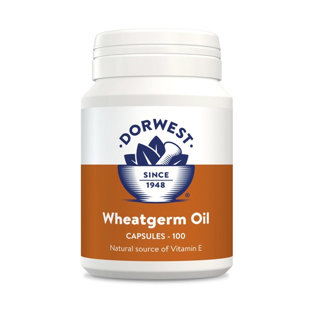 Dorwest Wheatgerm Oil Capsules For Dogs And Cats 100 Capsules
