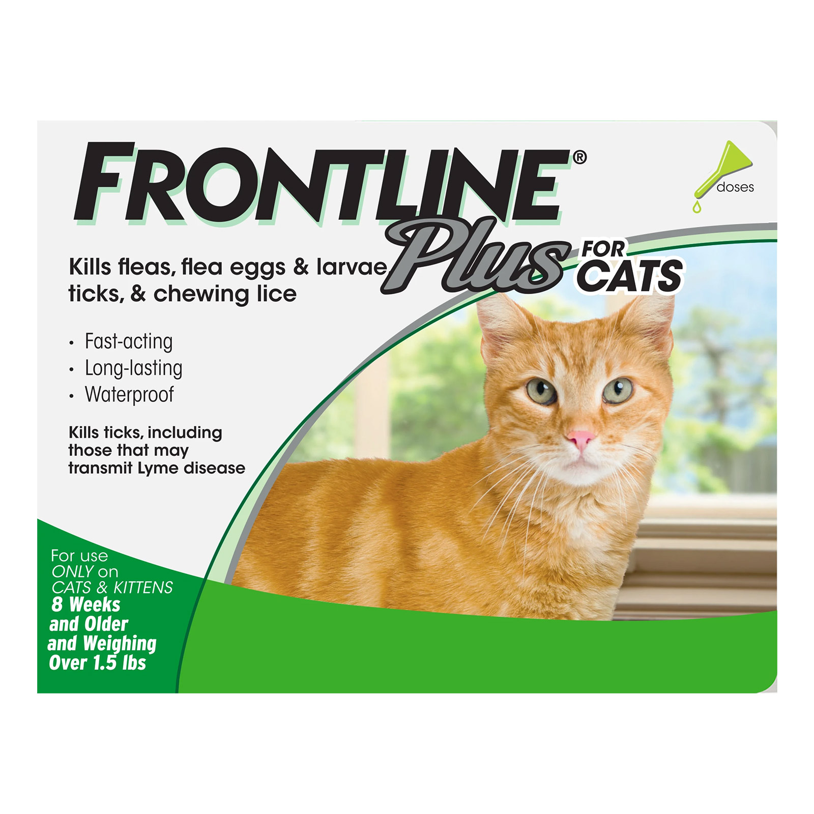 Frontline Plus For Cats 12 Months