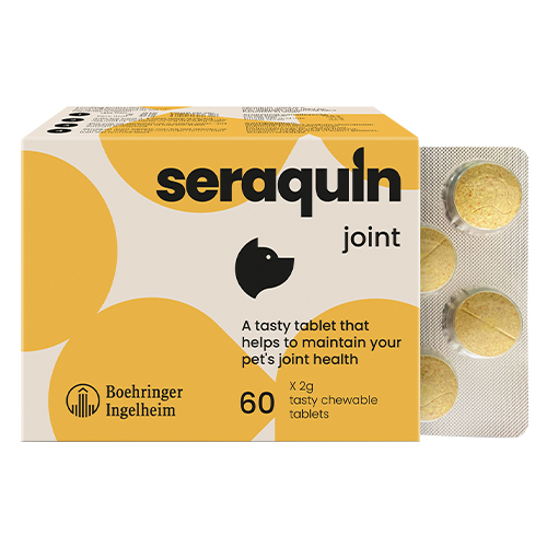 Seraquin For Dogs 2 Gm 60 Tablets