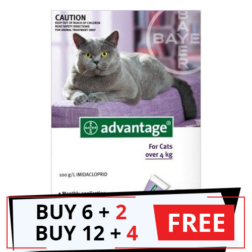 Advantage Cats Over 9lbs (Purple) 12 Doses + 4 Free
