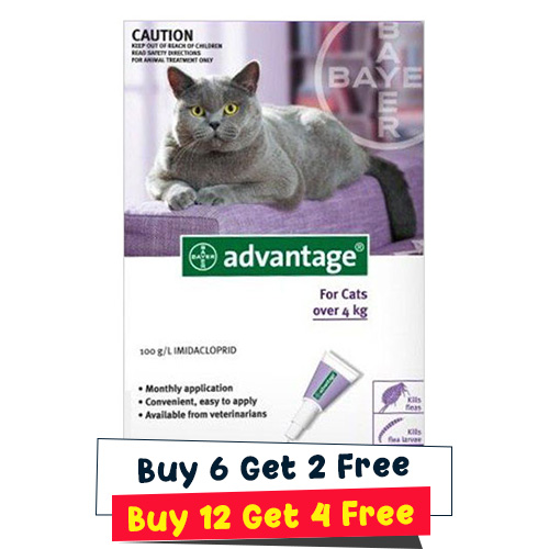 Advantage Cats Over 9lbs (Purple) 6 Doses + 2 Free