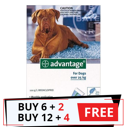 Advantage Extra Large Dogs Over 55 Lbs (Blue) 12 Doses + 4 Free

