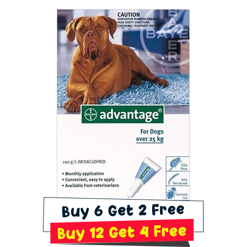Advantage Extra Lar… - image
