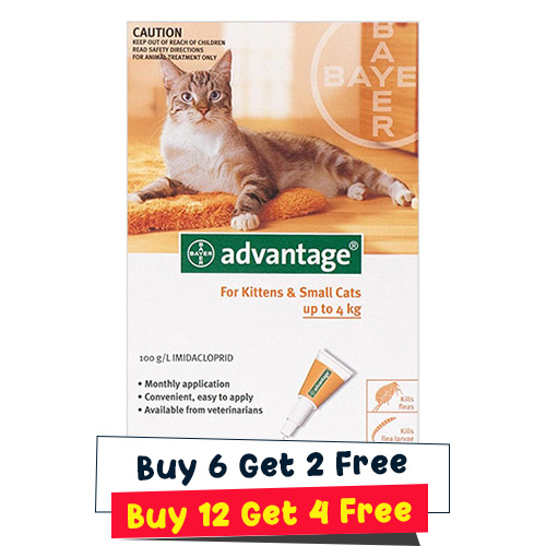 Advantage Kittens &… - image