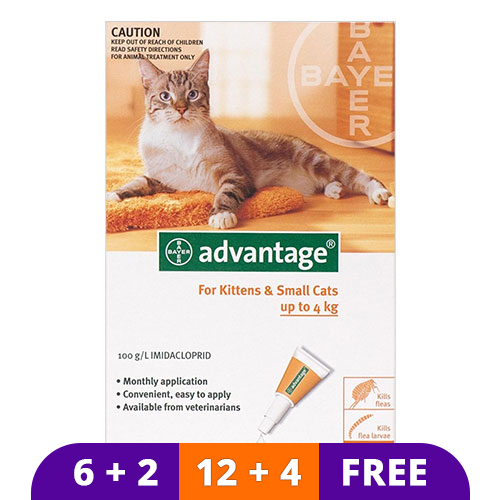 Advantage Kittens & Small Cats 1-9lbs 6 Doses + 2 Free