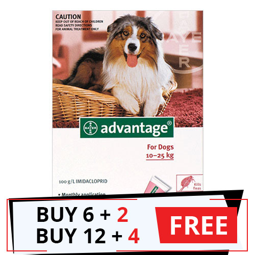 Advantage Large Dogs 21-55lbs (Red) 12 Doses + 4 Free
