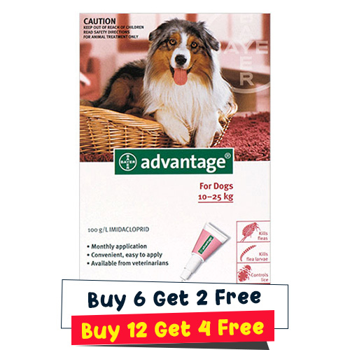 Advantage Large Dog… - image