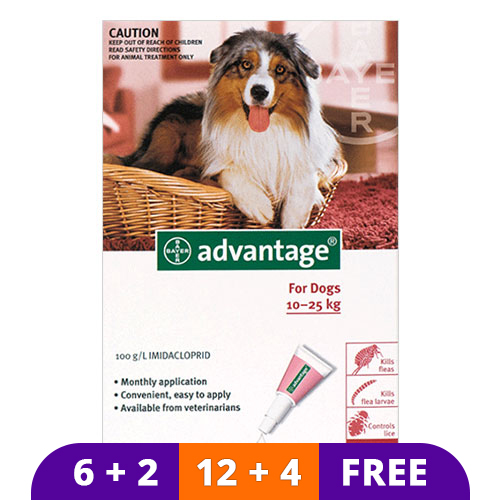 Advantage Large Dogs 21-55lbs (Red) 4 Doses