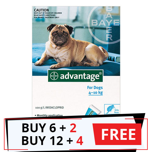 Advantage Medium Dogs 11-20lbs (Aqua) 12 Doses + 4 Free
