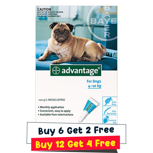 Advantage Medium Do… - image