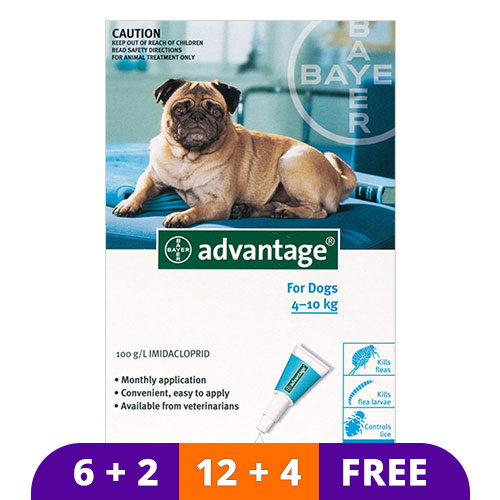 Advantage Medium Dogs 11-20lbs (Aqua) 4 Doses