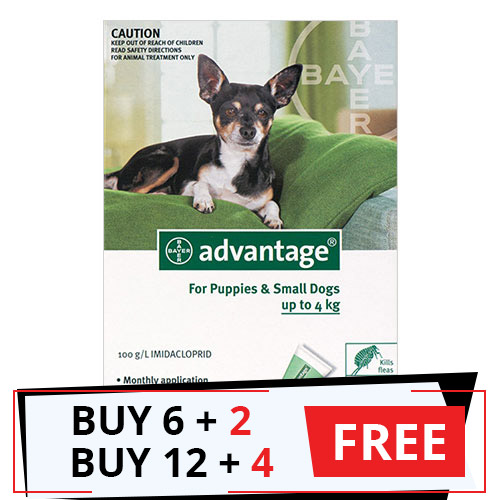 Advantage Small Dogs/ Pups 1-10lbs (Green) 12 Doses + 4 Free
