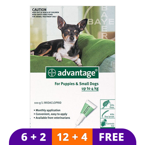 Advantage Small Dogs/ Pups 1-10lbs (Green) 4 Doses