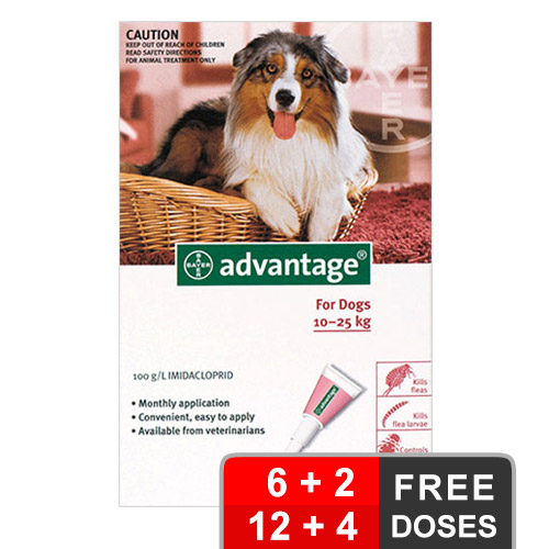 Advantage Large Dogs 21-55lbs Red 12 + 4 Free
