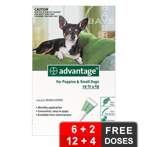 Advantage Small Dogs/ Pups 1-10lbs Green 4 Months
