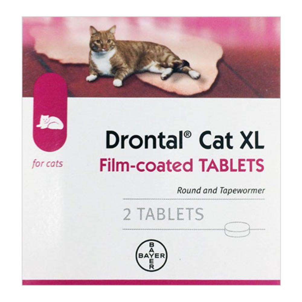 Drontal For Large Cats 6kg (13.2lbs) 48 Tablets

