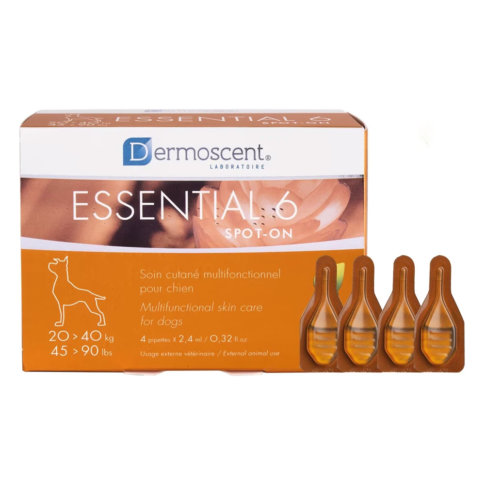 Essential 6 For Large Dogs 20-40kg 4 Months