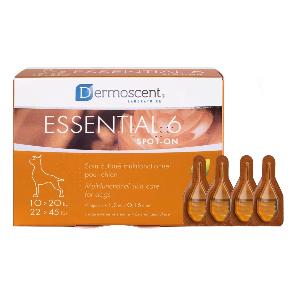 Essential 6 For Medium Dogs 10-20kg 4 Months