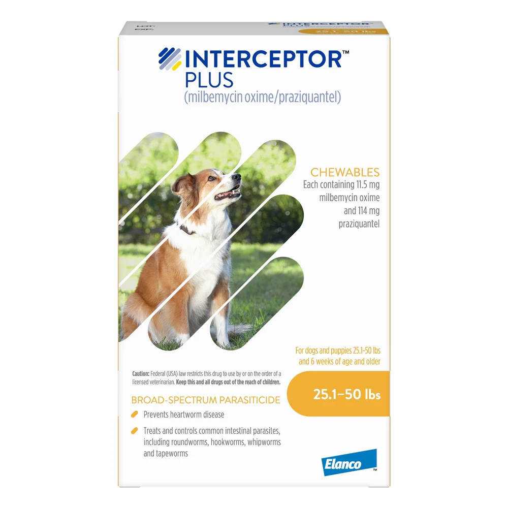 Interceptor Plus Ch…