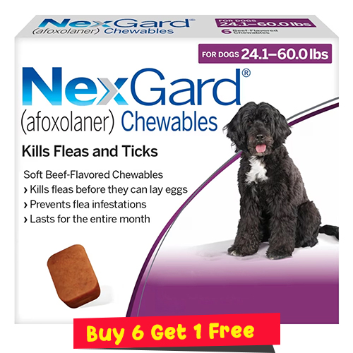 Nexgard Chewables For Large Dogs 24.1-60 Lbs (Purple) 68mg 6 Chews + 1 Free