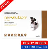 

Revolution For Small Dogs 10.1 - 20lbs Brown 3 Doses