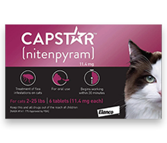 Capstar 