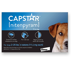 Capstar 