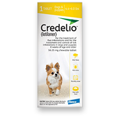 Credelio 