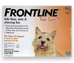 Frontline Top Spot 