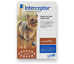 Interceptor 