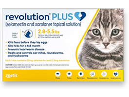 Revolution Plus