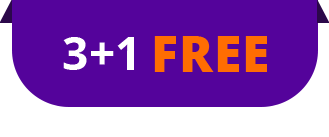 3+1 or 6+2 FREE