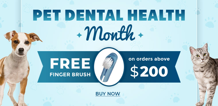 Pet Dental Health Month