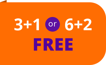 3+1 or 6+2 FREE