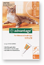 Advantage for Cats