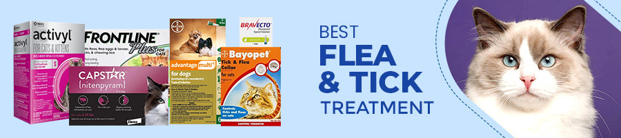 tick and flea treatment for cats