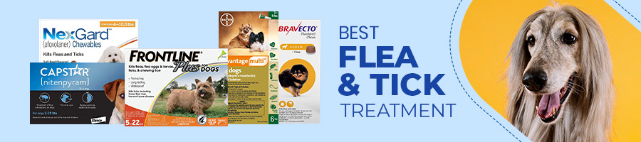 tick and flea prevention for dogs