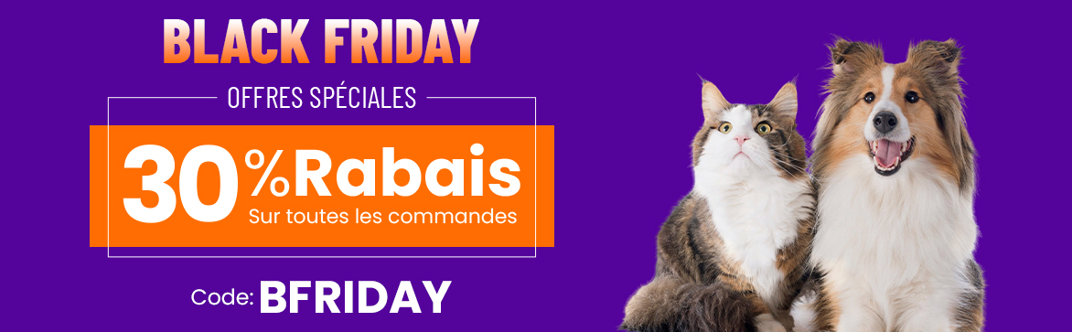 BLACKFRIDAY SPECIAL OFFERS!