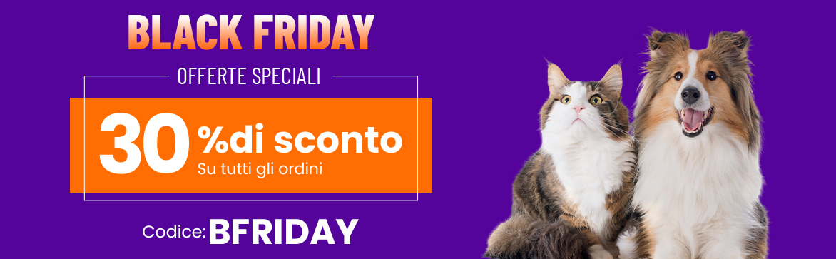 BLACKFRIDAY SPECIAL OFFERS!