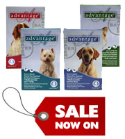 buy advantage for dogs