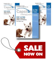 Capstar for cats